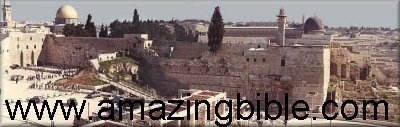 AmazingBible.com